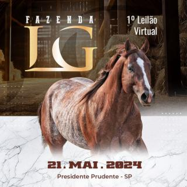 1º Leilão Virtual Fazenda LG