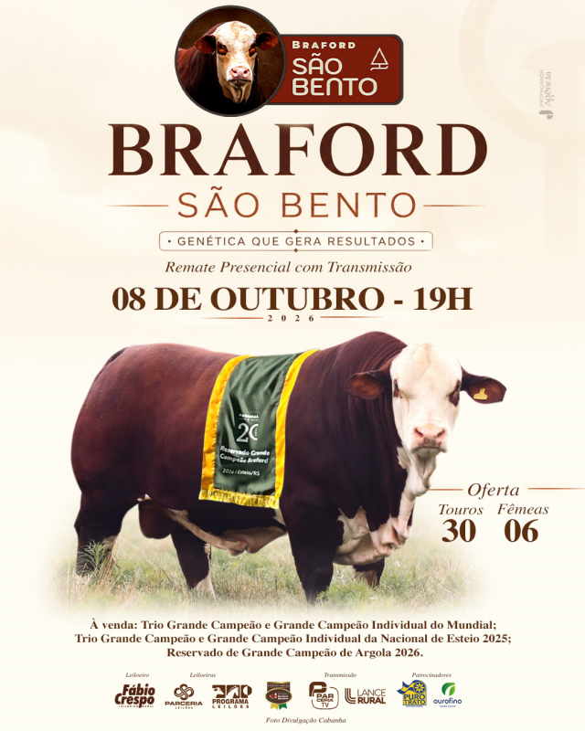 Remate Braford São Bento