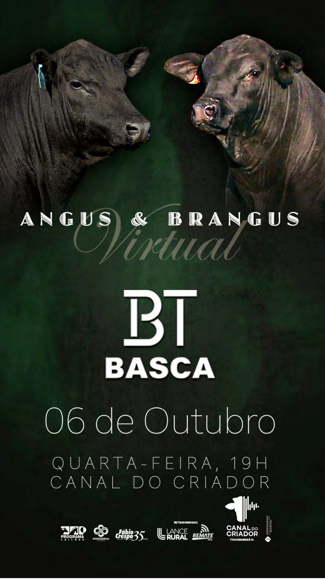 Leilão Virtual BT Basca - Angus e Brangus
