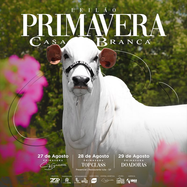 Leilão Primavera Casa Branca - Doadoras