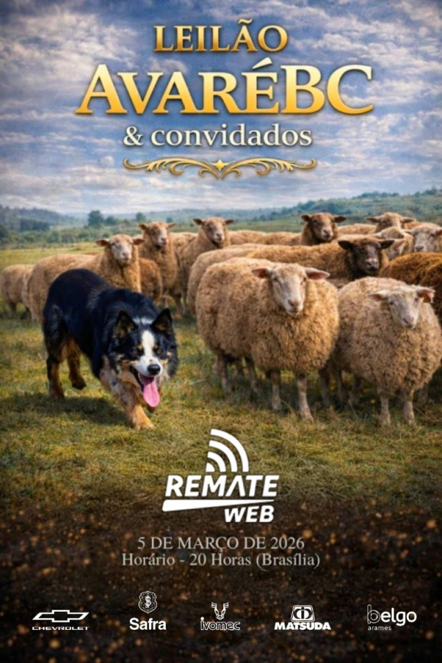 Leilão Avaré BC & Convidados