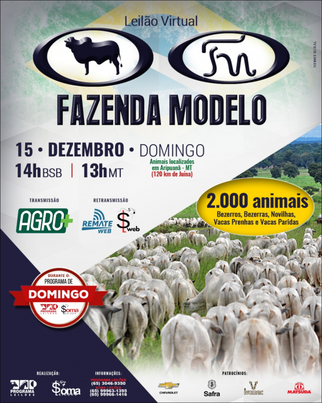 Leilão Virtual Fazenda Modelo