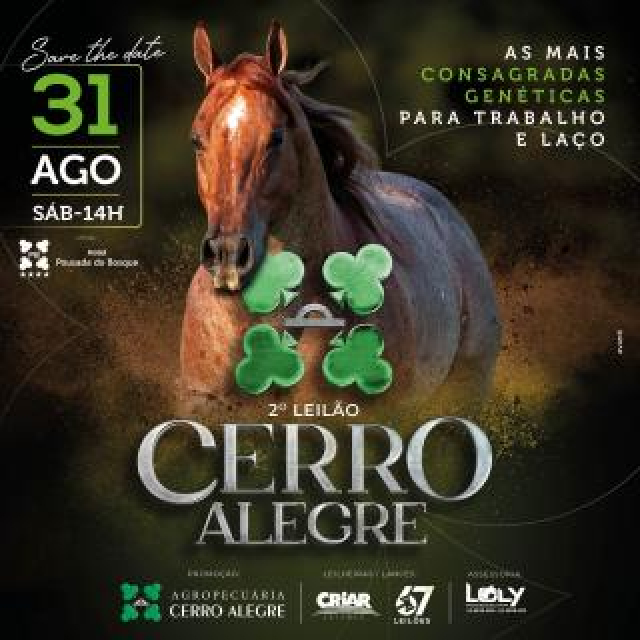 2º Leilão Cerro Alegre