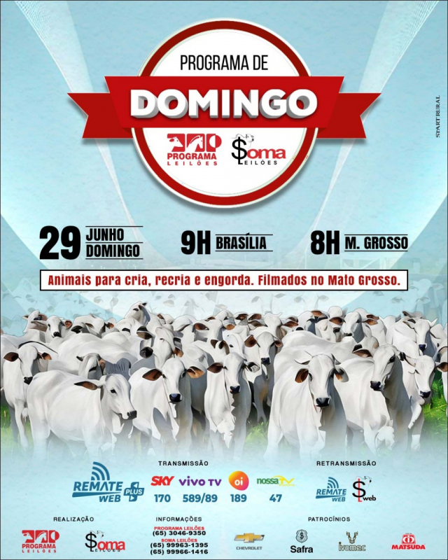 118º Programa de Domingo - Programa e Soma Leilões