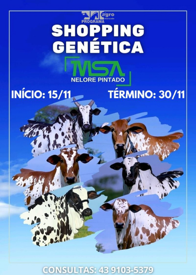 Shopping Genética MSA - Nelore Pintado