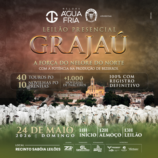 Leilão Água Fria - Edição Grajaú