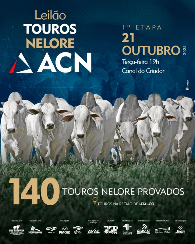 Leilão Virtual Touros ACN - 1ª Etapa