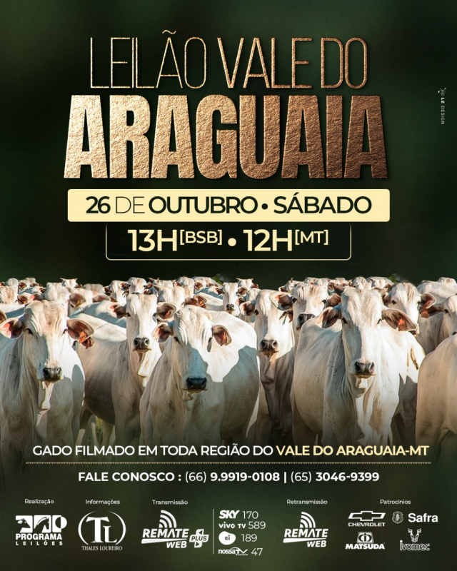 Leilão Gado de Corte - Vale do Araguaia