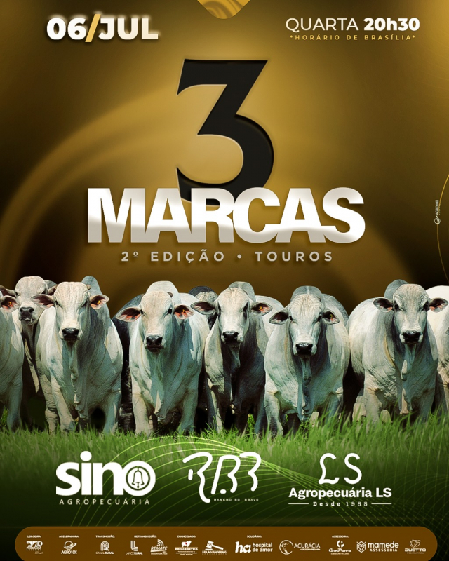 3 Marcas - Sino, R.B.B & LS