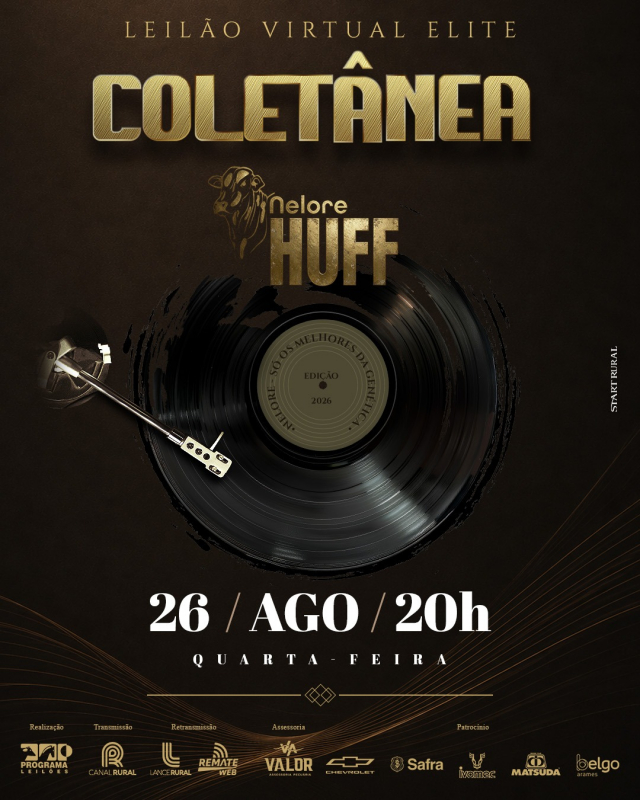Leilão Virtual Nelore Huff