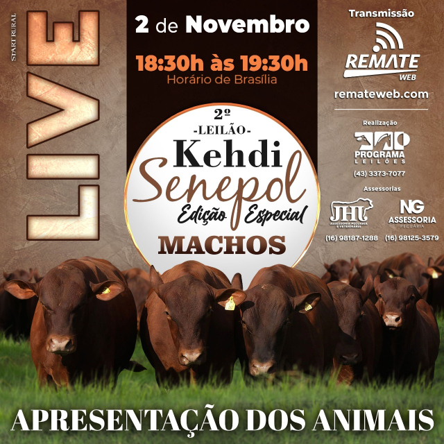 LIVE | 2° Leilão Kehdi Senepol - Edição Especial Machos