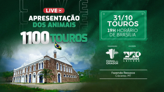 LIVE - Apresentação dos animais Fazenda Ressaca - Touros