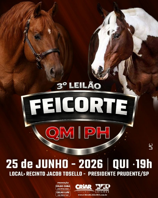 3° Leilão Feicorte QM PH