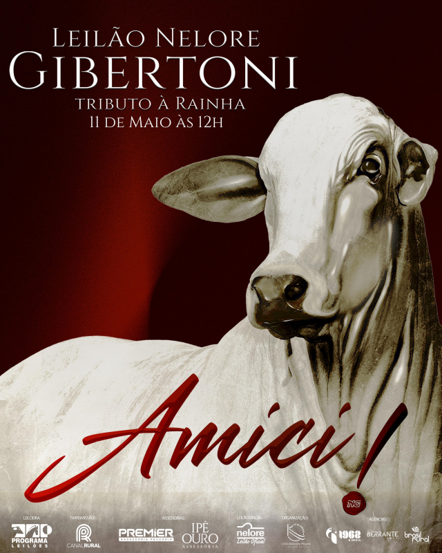 Leilão Nelore Gibertoni - AMICI
