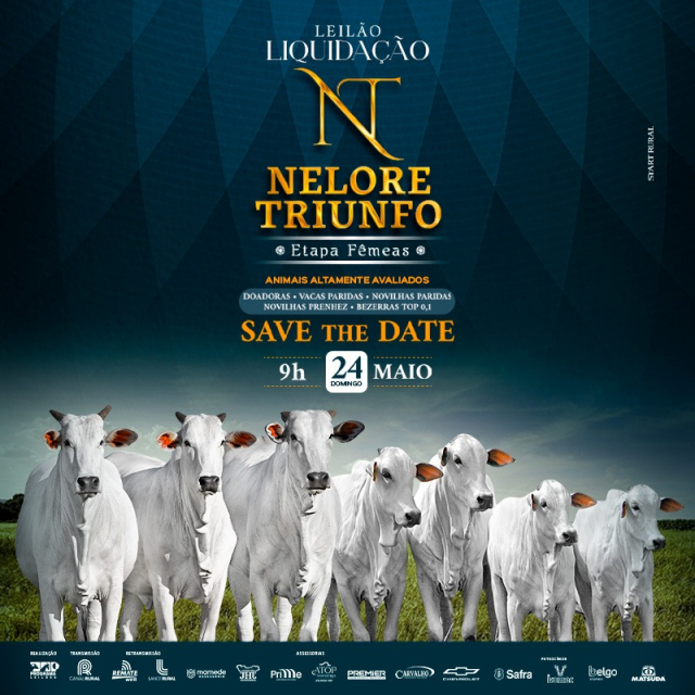 Leilão Virtual Liquidação Nelore Triunfo - Etapa Matrizes