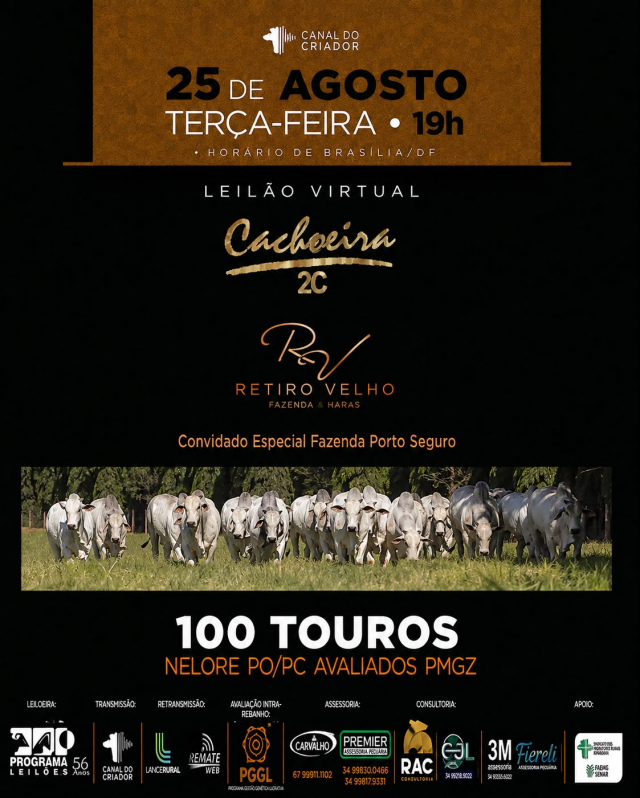 Leilão Virtual Cachoeira 2C & Retiro Velho - 100 Touros