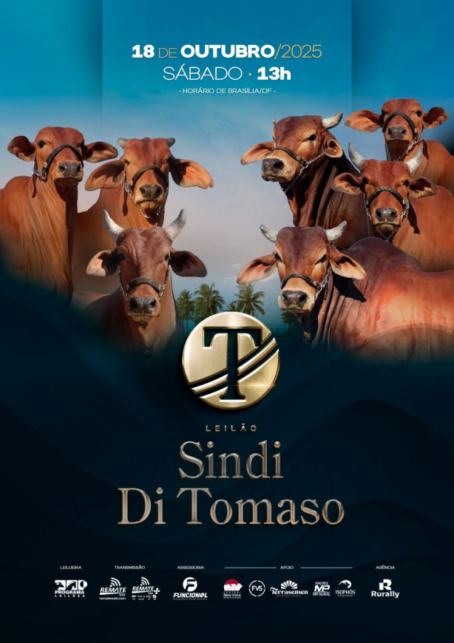 Leilão Virtual Sindi Di Tomaso