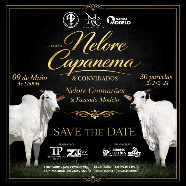 Leilão Virtual Nelore Capanema e Convidados