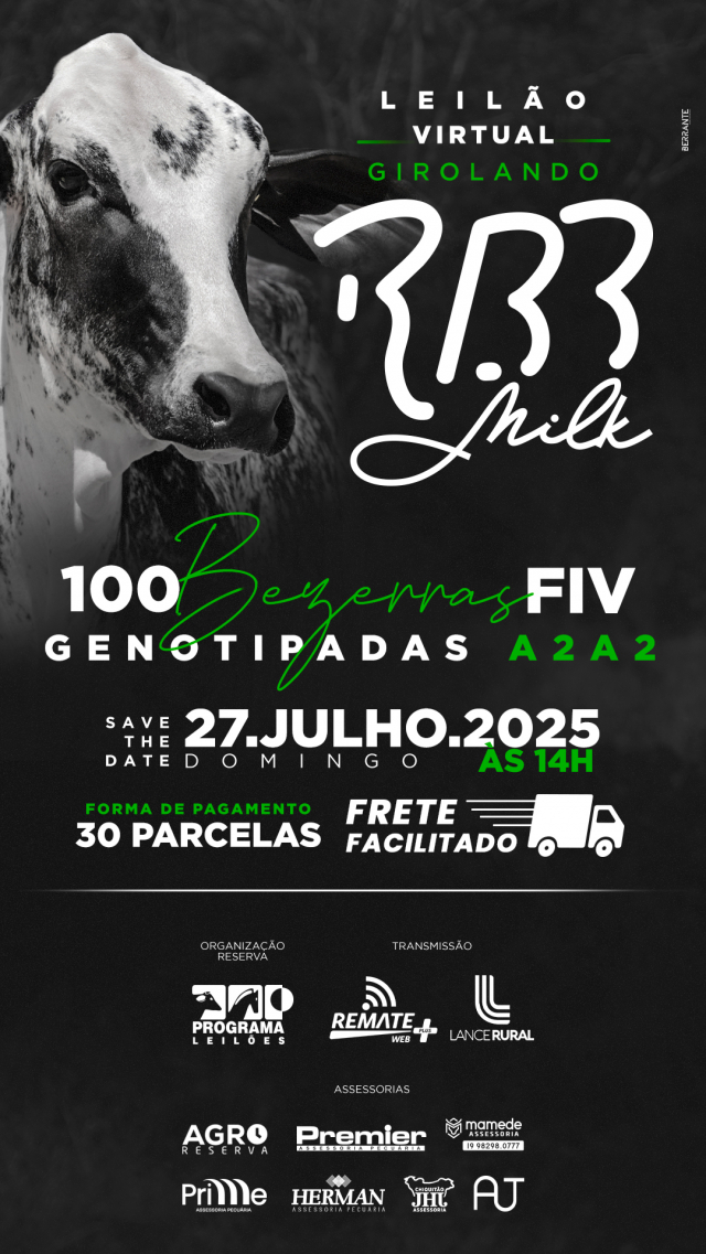 Leilão Virtual Girolando RBB Milk - Bezerras FIV