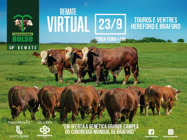 54º Leilão Virtual Cabanha do Bolso