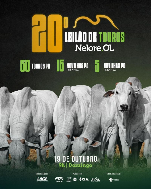 20º Leilão de Touros Nelore OL