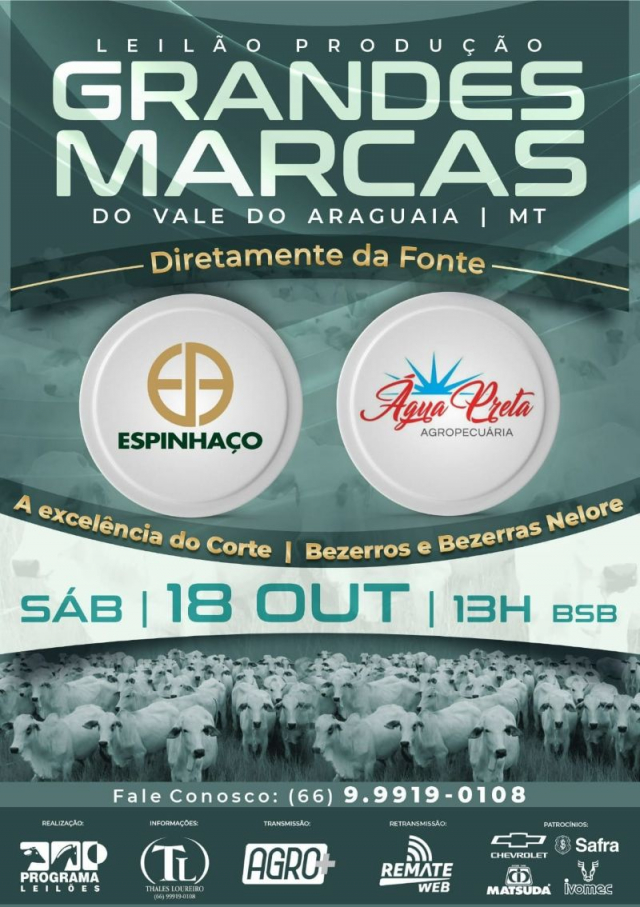 Leilão Virtual Produção Grandes Marcas do Vale do Araguaia