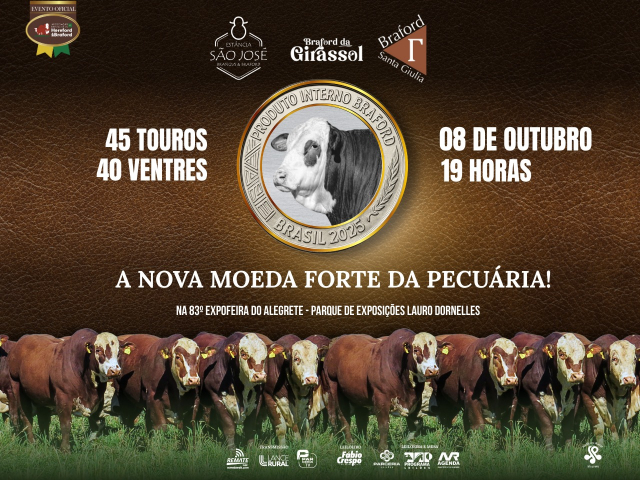 Leilão P.I.B. - Brasil 2025