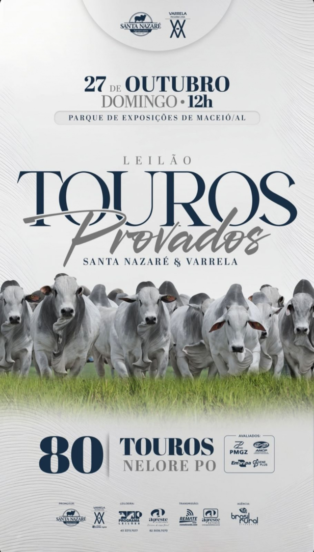 Leilão Touros Provados Santa Nazaré e Varrela