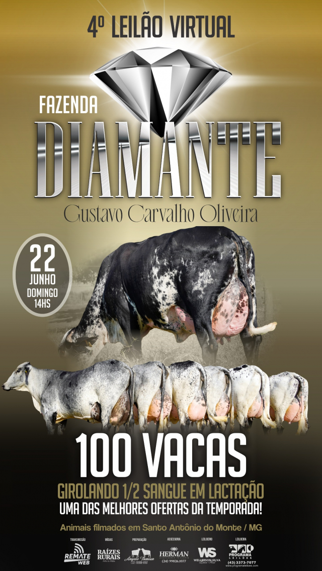 4º Leilão Virtual Fazenda Diamante