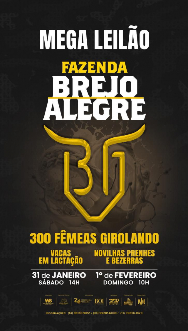 Mega Leilão Fazenda Brejo Alegre - Vacas em Lactação