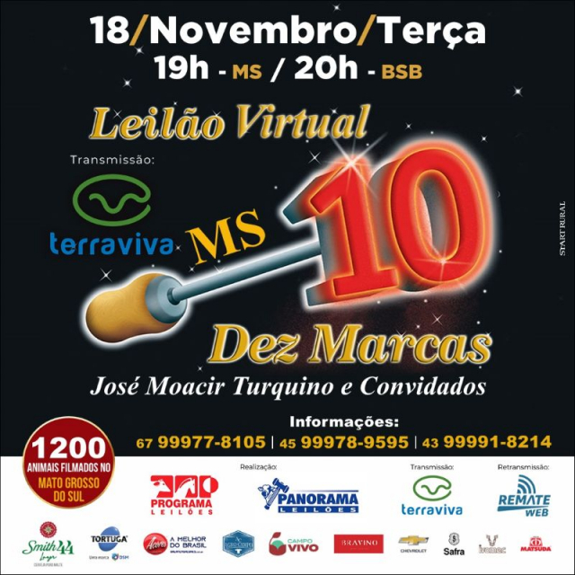Leilão Virtual Dez Marcas