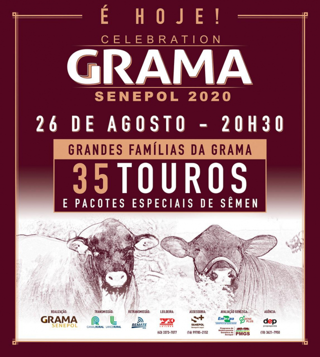 Celebration Grama Senepol 2020 - 3° Etapa