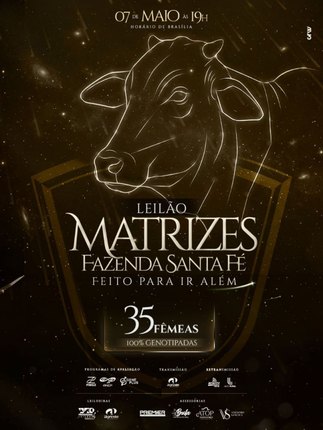 Leilão Virtual Matrizes Fazenda Santa Fé - Feito Para Ir Além