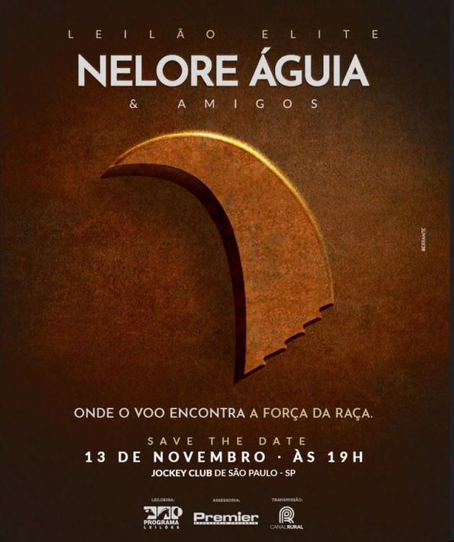 Leilão Elite Nelore Águia & Amigos