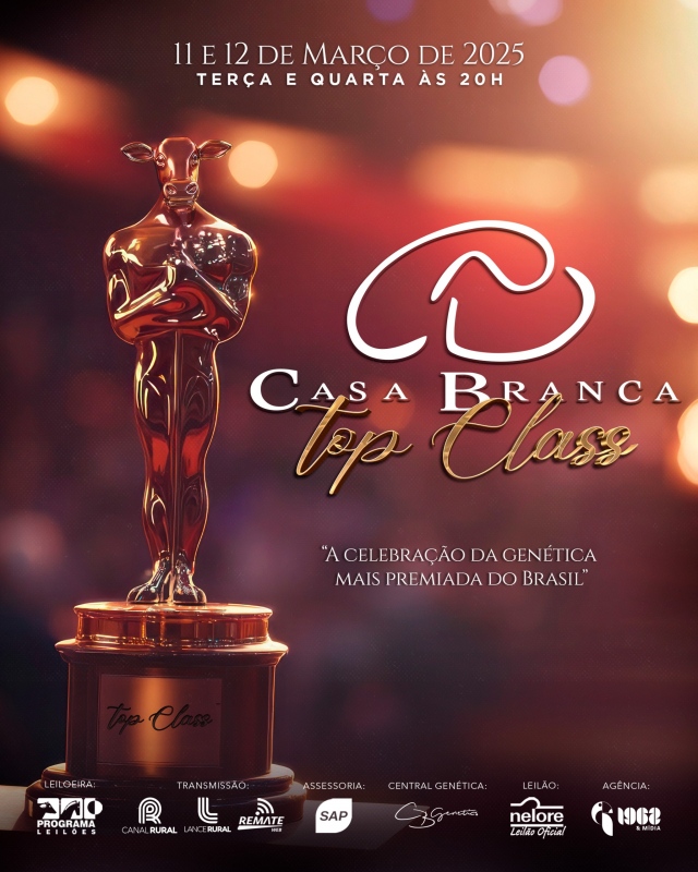 Leilão Virtual Casa Branca Top Class