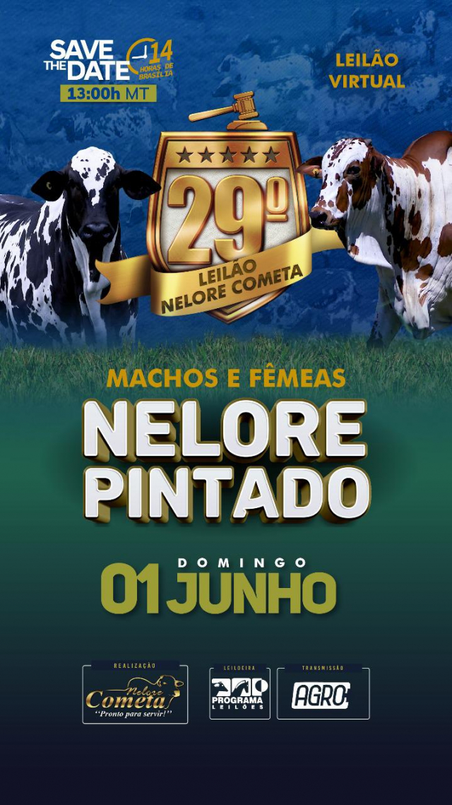 29º Leilão Virtual  Nelore Pintado Cometa - Machos e Fêmeas