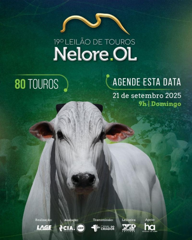 19° Leilão Virtual de Touros Nelore OL