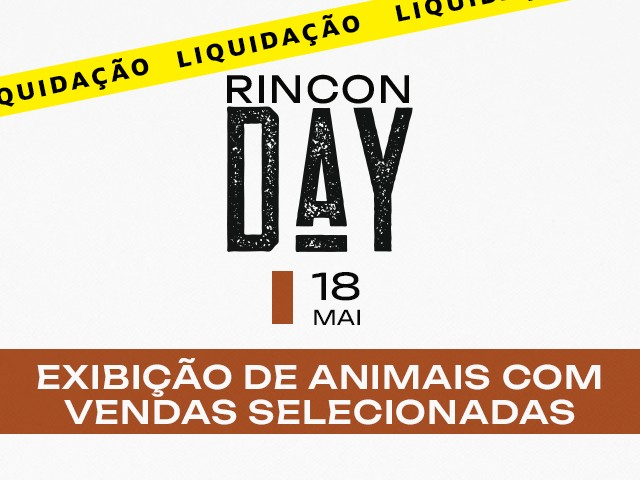 Leilão Virtual Rincon Day