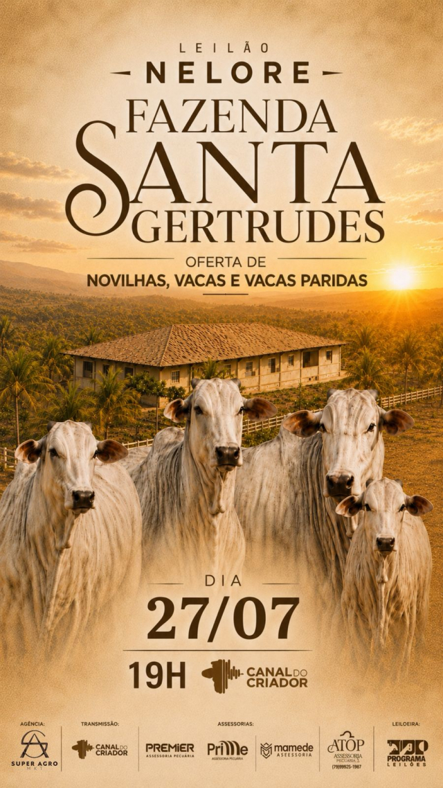 Leião Nelore Fazenda Santa Gertrudes