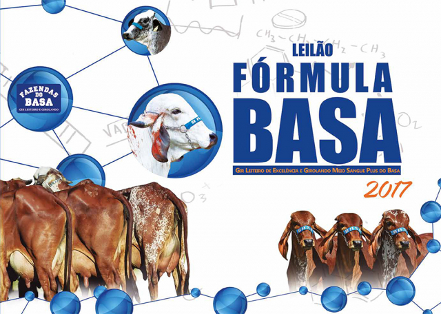 Fórmula Basa 2017
