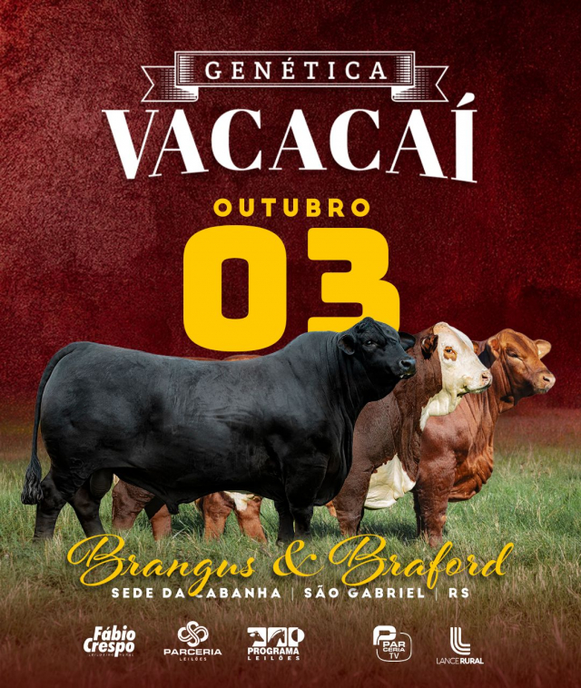 Leilão Genética Vacacaí - Brangus & Braford
