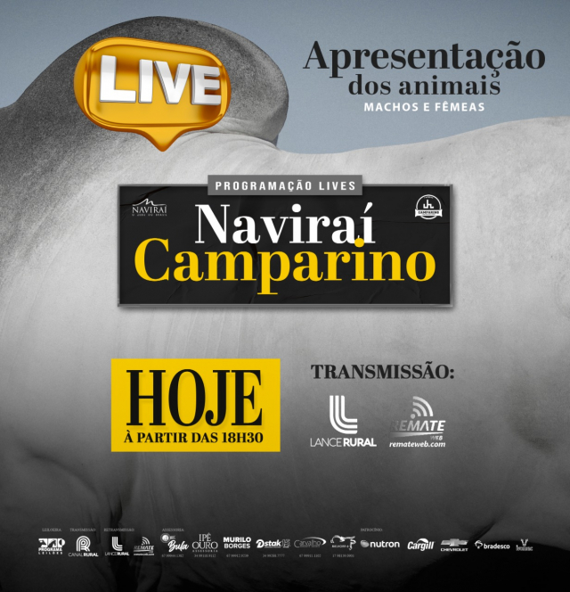 Live | Leilão Virtual Naviraí Camparino