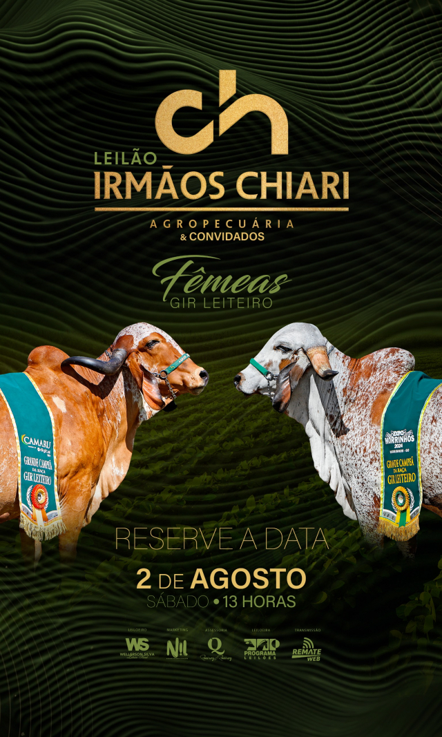 Leilão Irmãos Chiari Agropecuária & Convidados - Fêmeas Gir Leiteiro