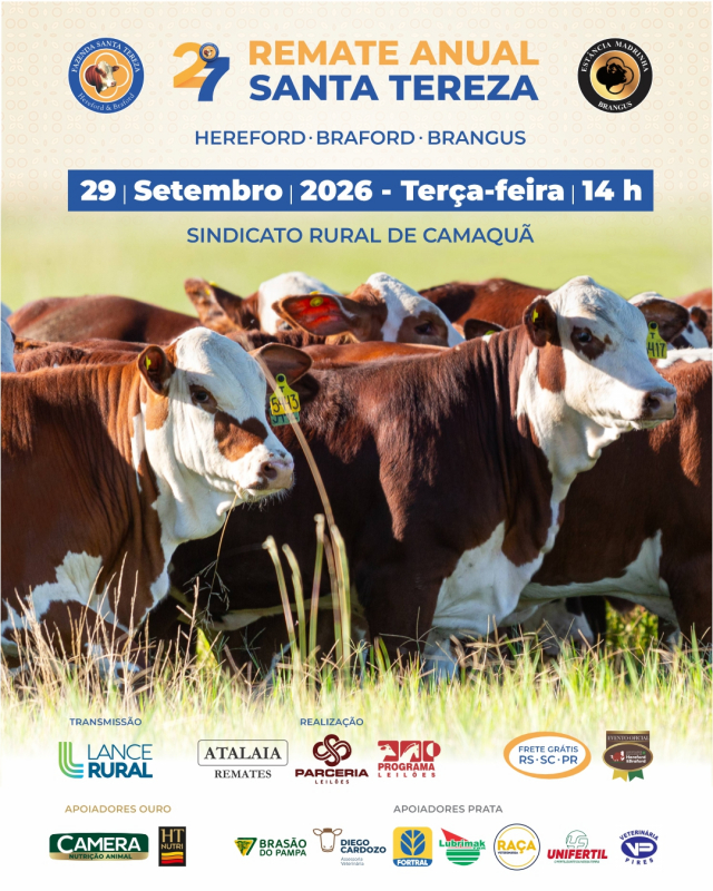 Remate Anual Santa Tereza