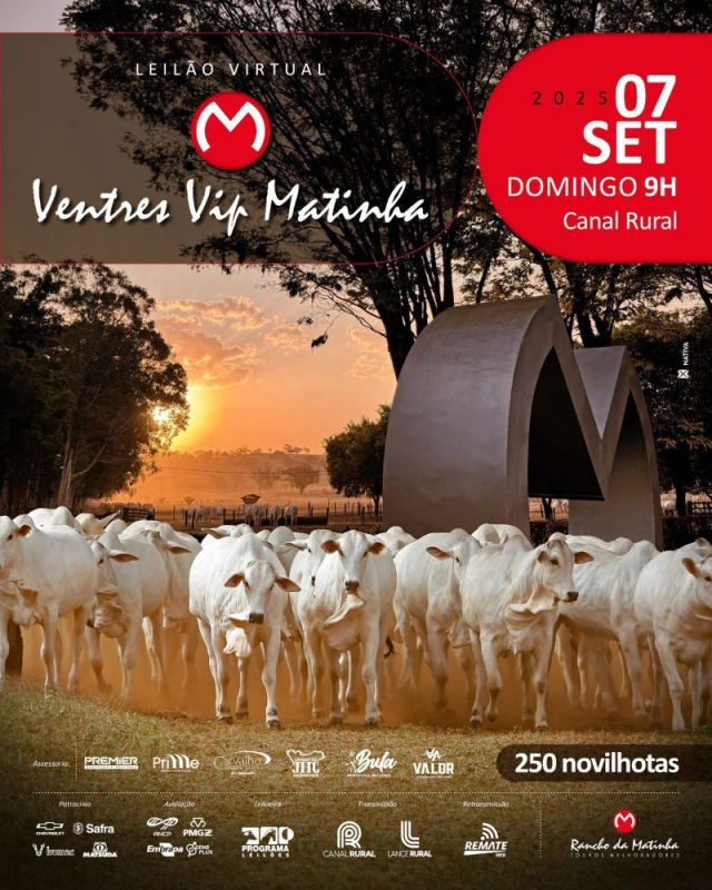 Leilão Virtual Ventres Vip Matinha