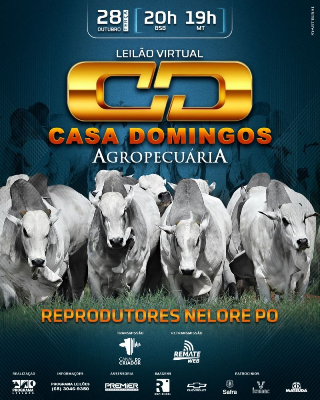 Leilão Virtual CD Casa Domingos Agropecuária - Reprodutores Nelore PO