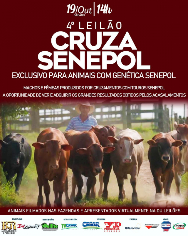 4º Leilão Virtual Cruza Senepol