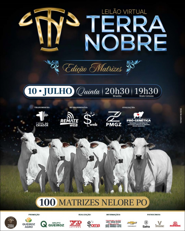 Leilão Virtual Terra Nobre - Edição Matrizes