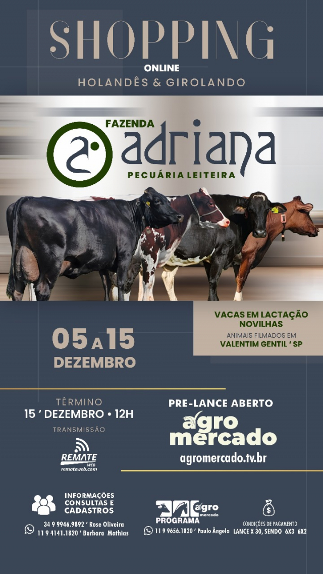 Shopping Online Holandês e Girolando - Fazenda Adriana