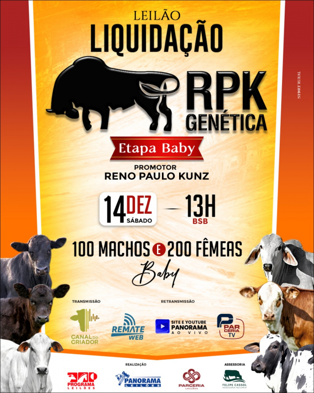 Leilão Virtual Liquidação RPK